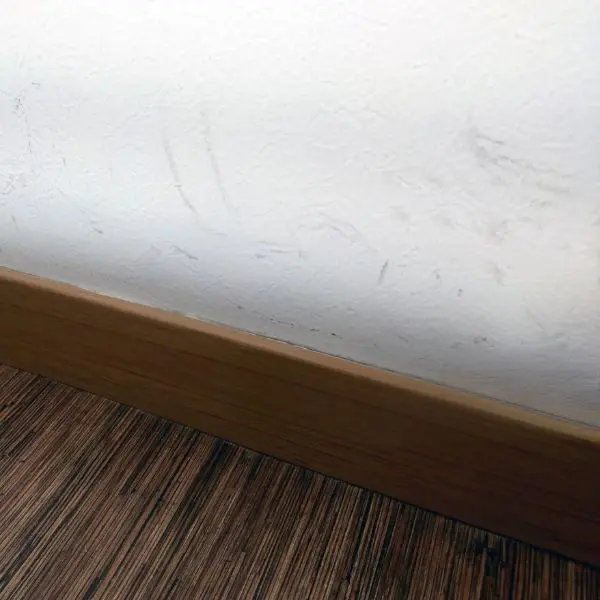 How to Remove Wall Stains | Learn More