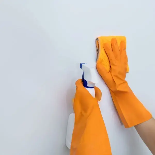 How to Remove Wall Stains | Learn More