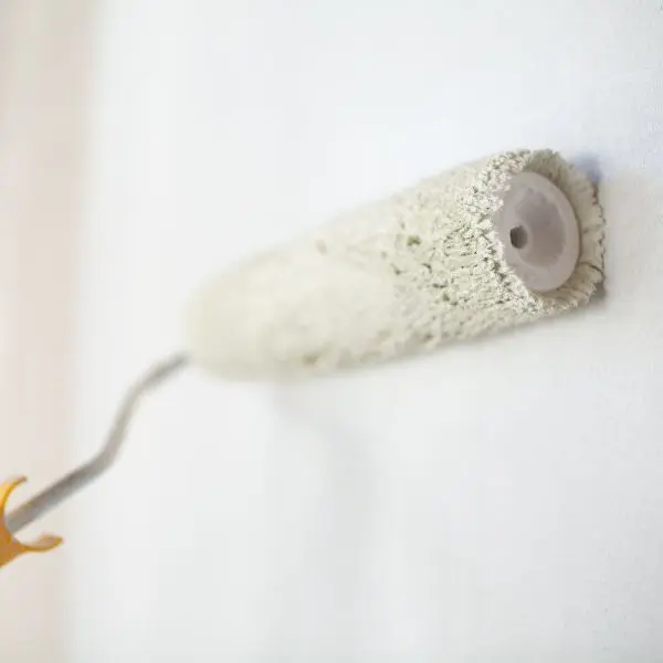 How to Remove Wall Stains | Learn More