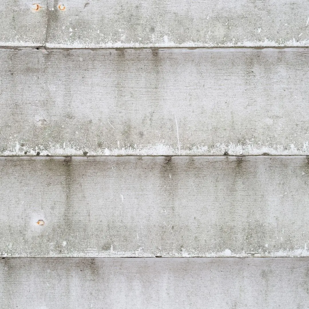 Mildew on walls
