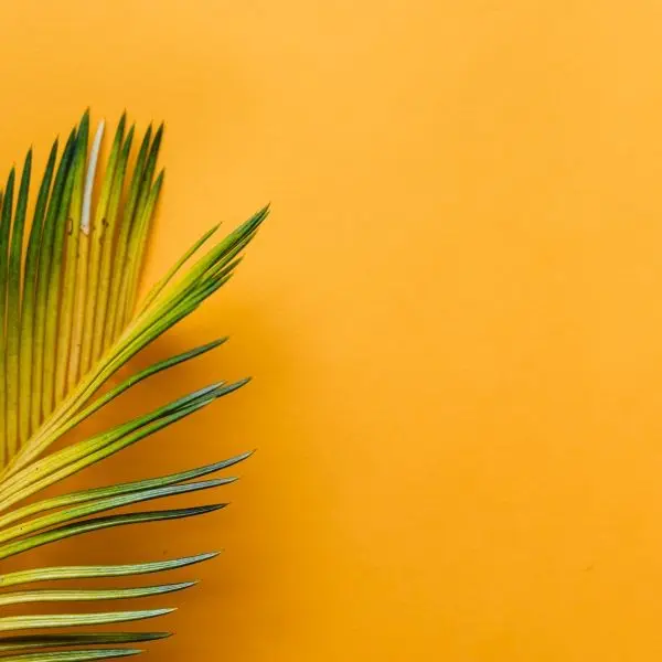 Orange wall