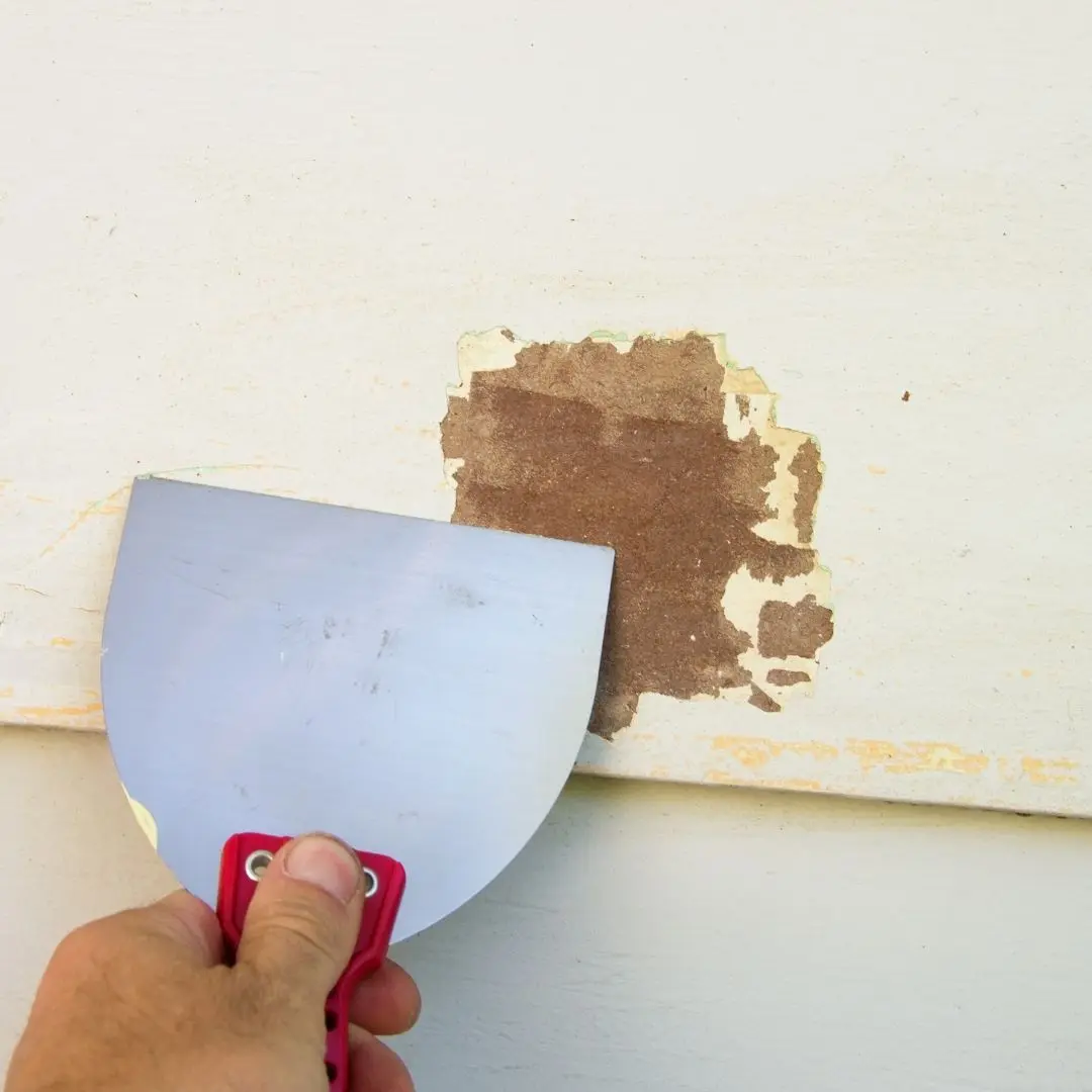 Best Practices For Painting The Exterior Of Your Home