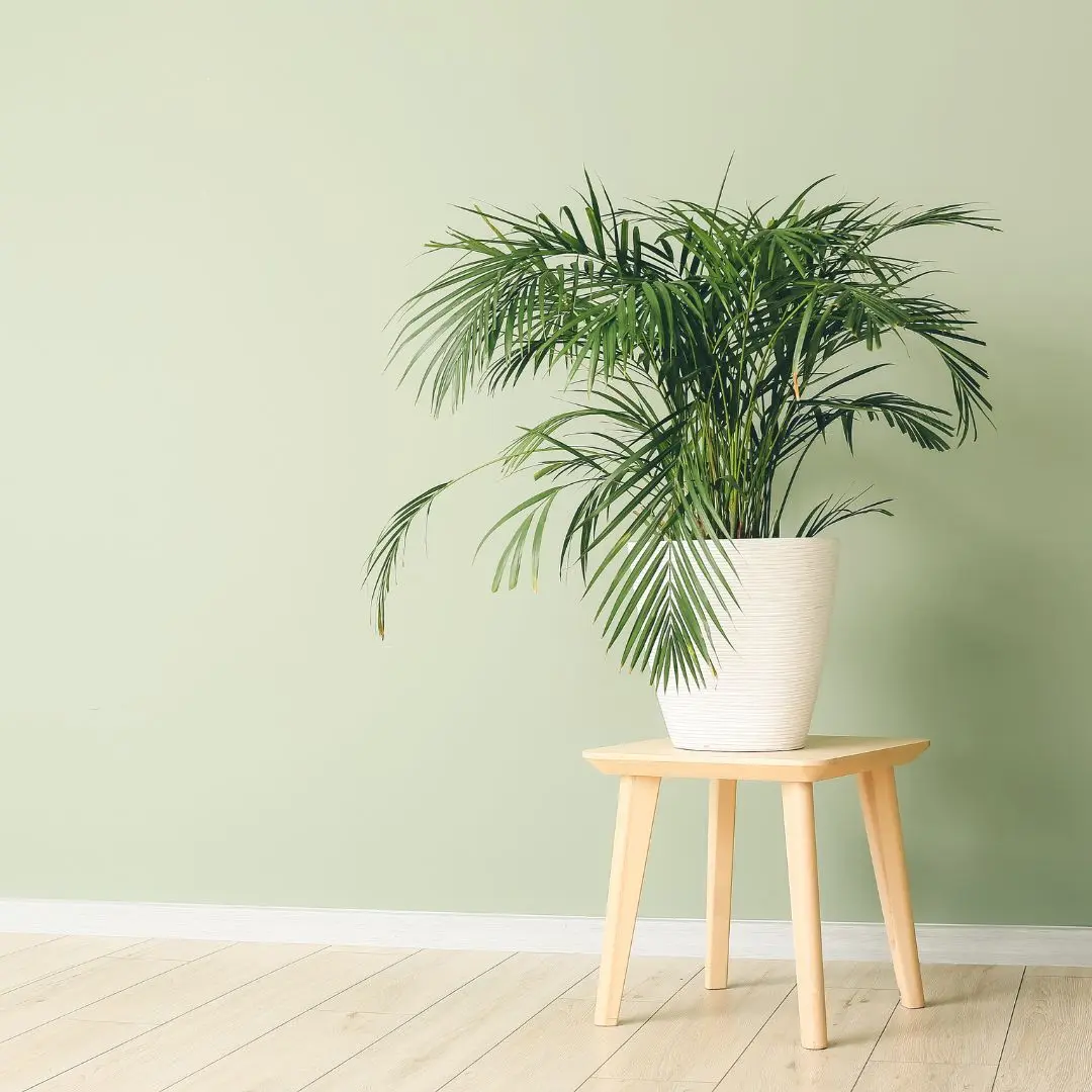 5 Ways to Make Small Rooms Look Bigger