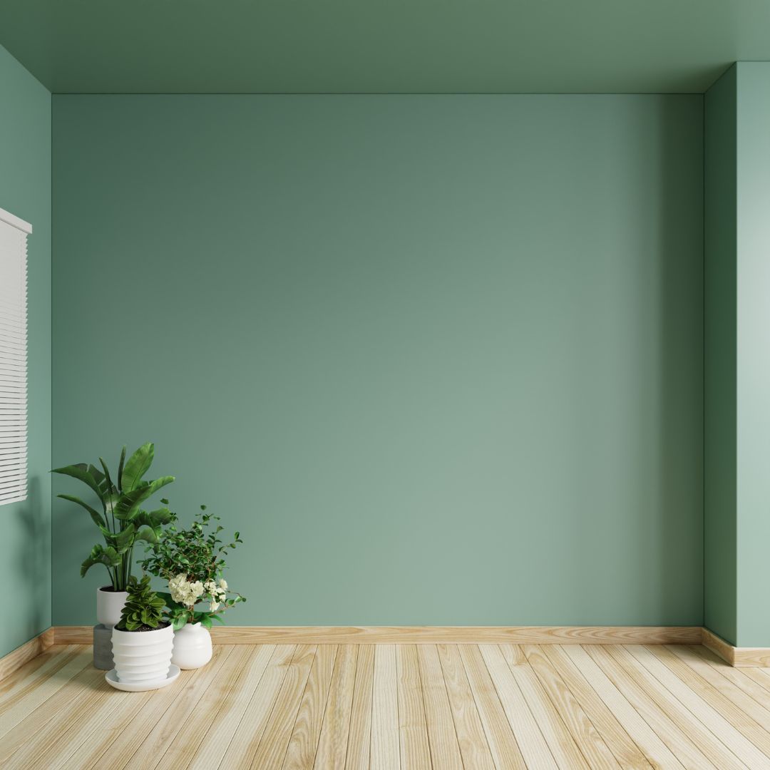 Sage green room with plants in pots on the floor