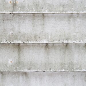 Mildew on walls
